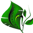 BionicWebLab